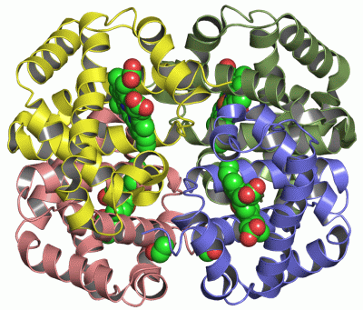 Image Asym./Biol. Unit - manually