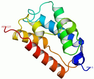 Image Theor.Model - manually