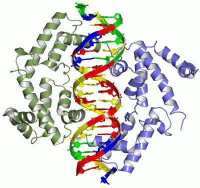 Image Asym./Biol. Unit - manually