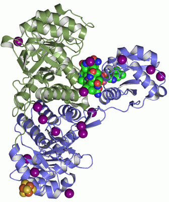 Image Asym./Biol. Unit - manually