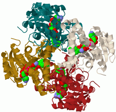 Image Biol.Unit 1 - manually