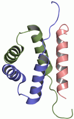 Image NMR Structure - manually