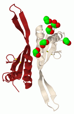 Image Biol.Unit 1 - manually