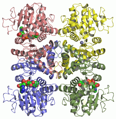 Image Asym./Biol. Unit - manually