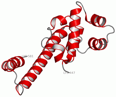 Image NMR Structure - manually