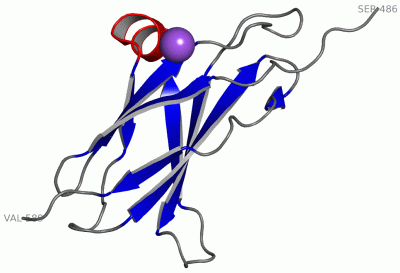 Image Asym./Biol. Unit - manually