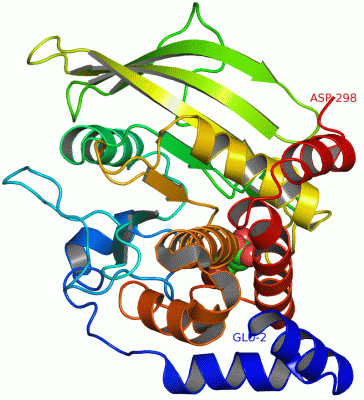 Image Asym./Biol. Unit - manually