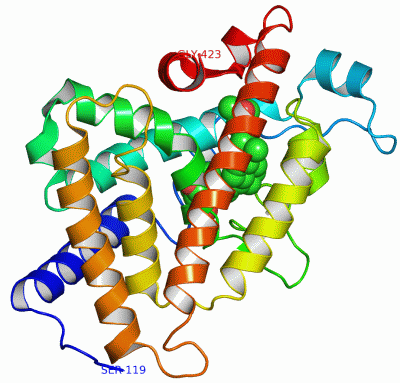 Image Asym./Biol. Unit - manually