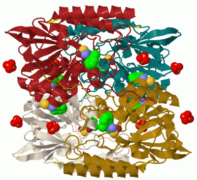 Image Biol.Unit 1 - manually