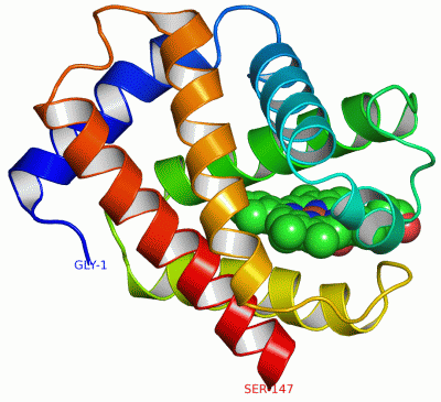 Image Asym./Biol. Unit - manually