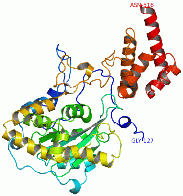 Image Asym./Biol. Unit - manually