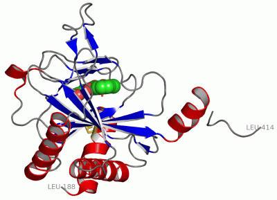 Image Asym./Biol. Unit - manually