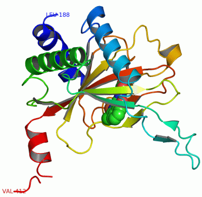 Image Asym./Biol. Unit - manually