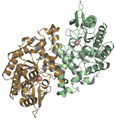 Image Asym./Biol. Unit - manually