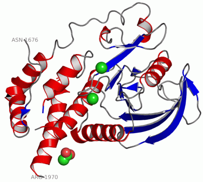 Image Asym./Biol. Unit - manually