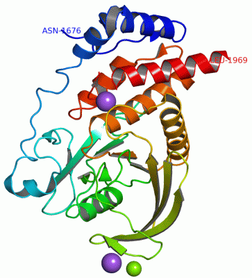 Image Asym./Biol. Unit - manually