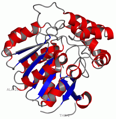 Image Theor.Model - manually