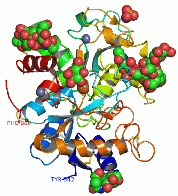 Image Asym./Biol. Unit - manually