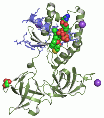 Image Asym./Biol. Unit - manually