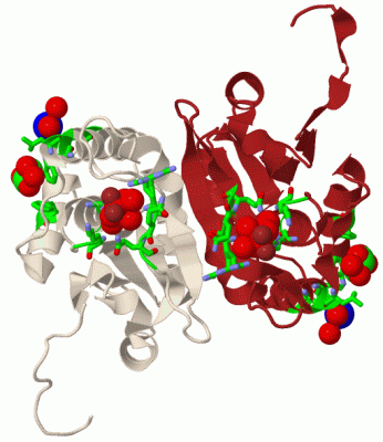 Image Biol.Unit 1 - manually