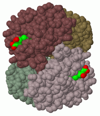 Image Biol.Unit 1 - manually