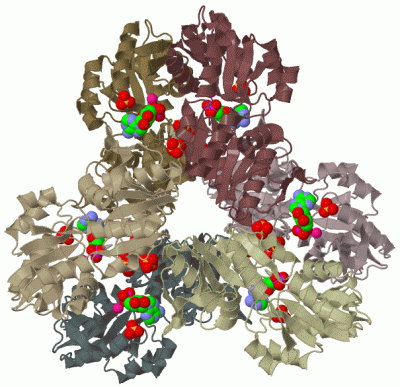 Image Biol.Unit 1 - manually