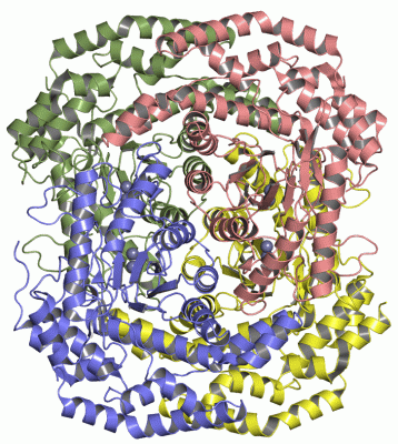 Image Asym./Biol. Unit - manually