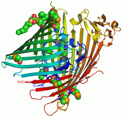 Image Asym./Biol. Unit - manually