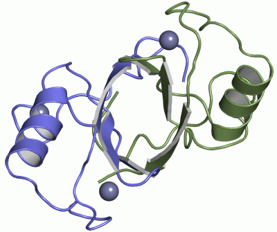 Image NMR Structure - manually