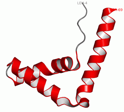 Image Asym./Biol. Unit - manually