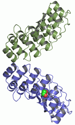 Image Asym./Biol. Unit - manually