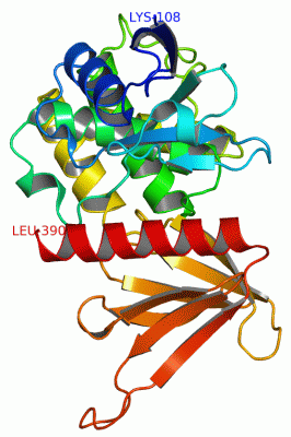 Image Asym./Biol. Unit - manually