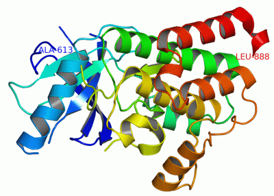 Image Asym./Biol. Unit - manually