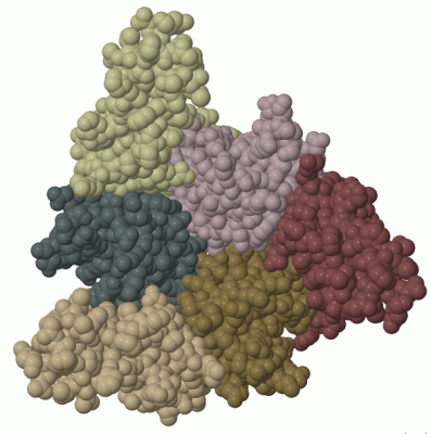 Image Biol.Unit 1 - manually