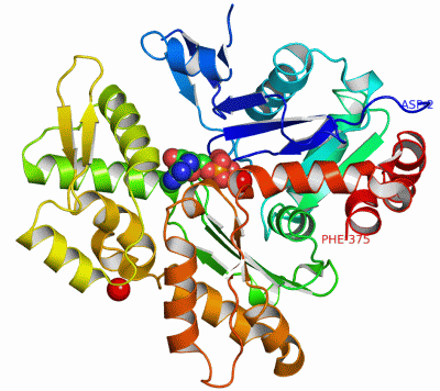 Image Asym./Biol. Unit - manually