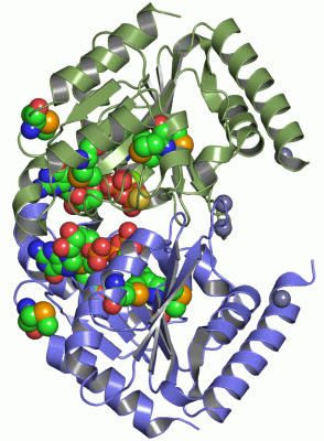 Image Asym./Biol. Unit - manually