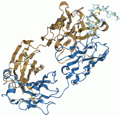 Image Asym./Biol. Unit - manually