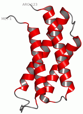 Image NMR Structure - manually