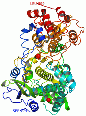 Image Asym./Biol. Unit - manually