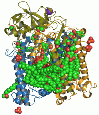 Image Asym./Biol. Unit - manually