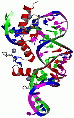 Image NMR Structure - manually