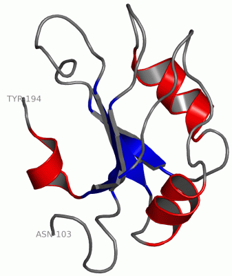 Image NMR Structure - manually