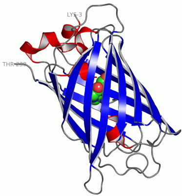 Image Asym./Biol. Unit - manually