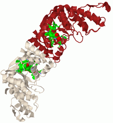 Image Biol.Unit 1 - manually