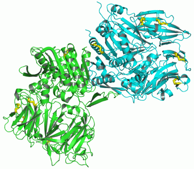 Image Asym./Biol. Unit - manually