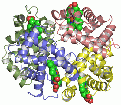 Image Asym./Biol. Unit - manually