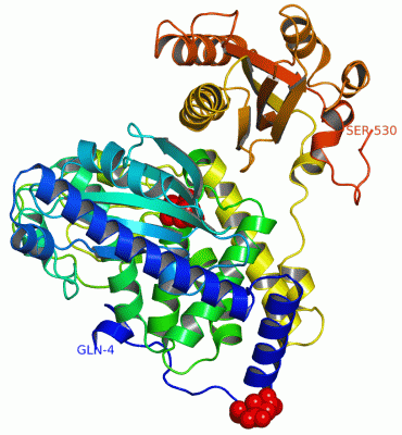 Image Asym./Biol. Unit - manually