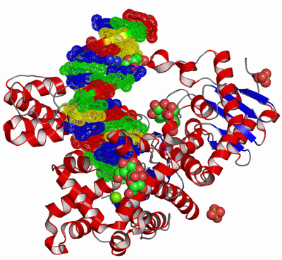 Image Asym./Biol. Unit - manually