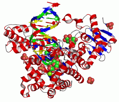 Image Asym./Biol. Unit - manually