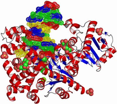 Image Asym./Biol. Unit - manually